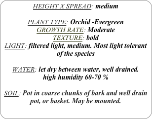 HEIGHT X SPREAD: medium

PLANT TYPE: Orchid -Evergreen
GROWTH RATE: Moderate
TEXTURE: bold
LIGHT: filtered light, medium. Most light tolerant of the species

WATER: let dry between water, well drained. 
high humidity 60-70 %

SOIL: Pot in coarse chunks of bark and well drain pot, or basket. May be mounted. 
