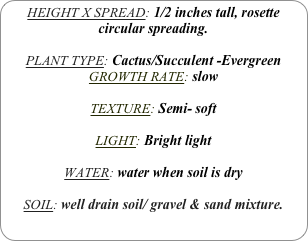 HEIGHT X SPREAD: 1/2 inches tall, rosette circular spreading.

PLANT TYPE: Cactus/Succulent -Evergreen
GROWTH RATE: slow

TEXTURE: Semi- soft

LIGHT: Bright light

WATER: water when soil is dry

SOIL: well drain soil/ gravel & sand mixture.
