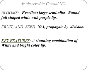 As observed in Coastal NC.

BLOOMS:   Excellent large semi-alba.  Round full shaped white with purple lip.

FRUIT  AND  SEED: N/A, propagate by  division.


KEY FEATURES: A stunning combination of  White and bright color lip.