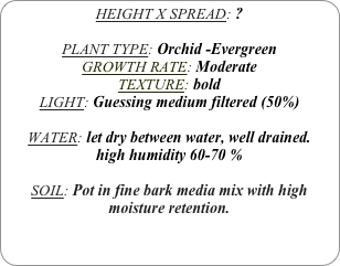 HEIGHT X SPREAD: ?

PLANT TYPE: Orchid -Evergreen
GROWTH RATE: Moderate
TEXTURE: bold
LIGHT: Guessing medium filtered (50%)

WATER: let dry between water, well drained. 
high humidity 60-70 %

SOIL: Pot in fine bark media mix with high moisture retention.

