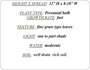 HEIGHT X SPREAD: 12” H x 8-10” W

PLANT TYPE: Perennial bulb
GROWTH RATE: fast

TEXTURE: fine grass type leaves

LIGHT: sun to part shade

WATER: moderate

SOIL: well drain  rich soil.
