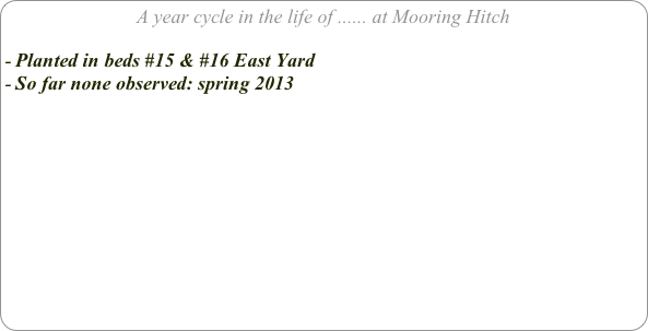 A year cycle in the life of ...... at Mooring Hitch

Planted in beds #15 & #16 East Yard
So far none observed: spring 2013