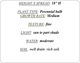 HEIGHT X SPREAD: 18” H

PLANT TYPE: Perennial bulb
GROWTH RATE: Medium

TEXTURE: fine

LIGHT: sun to part shade

WATER: moderate

SOIL: well drain  rich soil.
