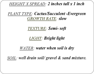 HEIGHT X SPREAD: 2 inches tall x 1 inch 

PLANT TYPE: Cactus/Succulent -Evergreen
GROWTH RATE: slow

TEXTURE: Semi- soft

LIGHT: Bright light

WATER: water when soil is dry

SOIL: well drain soil/ gravel & sand mixture.
