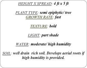 HEIGHT X SPREAD: 4 ft x 5 ft

PLANT TYPE: semi epiphytic/ tree
GROWTH RATE: fast

TEXTURE: bold

LIGHT: part shade

WATER: moderate/ high humidity

SOIL: well drain  rich soil. Develops aerial roots if high humidity is provided.
