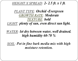 HEIGHT X SPREAD: 2- 2.5 ft. x 1 ft.

PLANT TYPE: Orchid -Evergreen
GROWTH RATE: Moderate
TEXTURE: bold
LIGHT: plenty of sun, even direct sun light.

WATER: let dry between water, well drained. 
high humidity 60-70 %

SOIL: Pot in fine bark media mix with high moisture retention.
