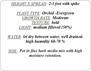 HEIGHT X SPREAD: 2-3 feet with spike

PLANT TYPE: Orchid -Evergreen
GROWTH RATE: Moderate
TEXTURE: bold
LIGHT: medium filtered (50%)

WATER: let dry between water, well drained. 
high humidity 60-70 %

SOIL: Pot in fine bark media mix with high moisture retention.
