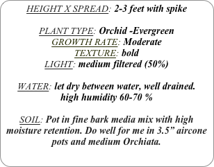 HEIGHT X SPREAD: 2-3 feet with spike

PLANT TYPE: Orchid -Evergreen
GROWTH RATE: Moderate
TEXTURE: bold
LIGHT: medium filtered (50%)

WATER: let dry between water, well drained. 
high humidity 60-70 %

SOIL: Pot in fine bark media mix with high moisture retention. Do well for me in 3.5” aircone pots and medium Orchiata.
