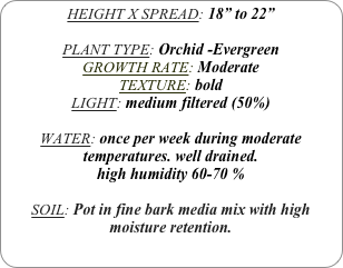 HEIGHT X SPREAD: 18” to 22”

PLANT TYPE: Orchid -Evergreen
GROWTH RATE: Moderate
TEXTURE: bold
LIGHT: medium filtered (50%)

WATER: once per week during moderate temperatures. well drained. 
high humidity 60-70 %

SOIL: Pot in fine bark media mix with high moisture retention.
