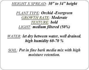 HEIGHT X SPREAD: 30” to 34” height

PLANT TYPE: Orchid -Evergreen
GROWTH RATE: Moderate
TEXTURE: bold
LIGHT: medium filtered (50%)

WATER: let dry between water, well drained. 
high humidity 60-70 %

SOIL: Pot in fine bark media mix with high moisture retention.
