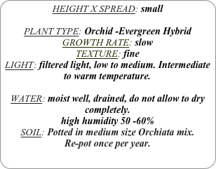 HEIGHT X SPREAD: small

PLANT TYPE: Orchid -Evergreen Hybrid
GROWTH RATE: slow
TEXTURE: fine
LIGHT: filtered light, low to medium. Intermediate to warm temperature.

WATER: moist well, drained, do not allow to dry completely.
high humidity 50 -60%
SOIL: Potted in medium size Orchiata mix.
Re-pot once per year.
