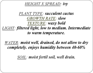 HEIGHT X SPREAD: ivy

PLANT TYPE: succulent cactus
GROWTH RATE: slow
TEXTURE: waxy bold
LIGHT: filtered light, low to medium. Intermediate to warm temperature.

WATER: moist well, drained, do not allow to dry completely. enjoys humidity between 40-60%

SOIL: moist fertil soil, well drain.
