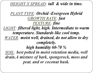 HEIGHT X SPREAD: tall  & wide in time.

PLANT TYPE: Orchid -Evergreen Hybrid
GROWTH RATE: fast
TEXTURE: fine
LIGHT: filtered light, high. Intermediate to warm temperature. Standards like cool temp.
WATER: moist well, drained, do not allow to dry completely.
high humidity 60-70 %
SOIL: best potted in moist retention media, well drain.A mixture of bark, spongerock, moss and peat. and or coconut husk.
