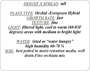 HEIGHT X SPREAD: tall 

PLANT TYPE: Orchid -Evergreen Hybrid
GROWTH RATE: fast
TEXTURE: fine
LIGHT: filtered light, cool to warm (60-83F degrees) areas with medium to bright light

WATER: listed as “water hungry”
high humidity 60-70 %
SOIL: best potted in moist retention media, well drain.Fine orchiata mix
