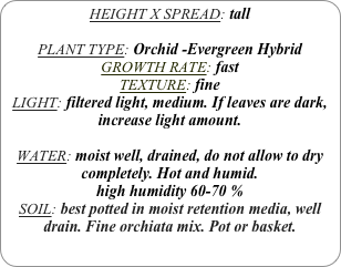 HEIGHT X SPREAD: tall 

PLANT TYPE: Orchid -Evergreen Hybrid
GROWTH RATE: fast
TEXTURE: fine
LIGHT: filtered light, medium. If leaves are dark, increase light amount.

WATER: moist well, drained, do not allow to dry completely. Hot and humid.
high humidity 60-70 %
SOIL: best potted in moist retention media, well drain. Fine orchiata mix. Pot or basket.
