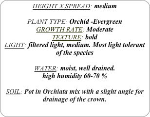 HEIGHT X SPREAD: medium

PLANT TYPE: Orchid -Evergreen
GROWTH RATE: Moderate
TEXTURE: bold
LIGHT: filtered light, medium. Most light tolerant of the species

WATER: moist, well drained. 
high humidity 60-70 %

SOIL: Pot in Orchiata mix with a slight angle for drainage of the crown. 
