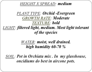 HEIGHT X SPREAD: medium

PLANT TYPE: Orchid -Evergreen
GROWTH RATE: Moderate
TEXTURE: bold
LIGHT: filtered light, medium. Most light tolerant of the species

WATER: moist, well drained. 
high humidity 60-70 %

SOIL: Pot in Orchiata mix . In  my glasshouse, oncidiums do best in aircone pots.
