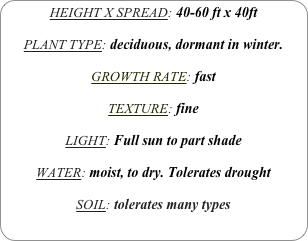 HEIGHT X SPREAD: 40-60 ft x 40ft

PLANT TYPE: deciduous, dormant in winter.

GROWTH RATE: fast

TEXTURE: fine

LIGHT: Full sun to part shade

WATER: moist, to dry. Tolerates drought

SOIL: tolerates many types
