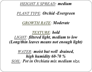 HEIGHT X SPREAD: medium 

PLANT TYPE: Orchid -Evergreen

GROWTH RATE: Moderate

TEXTURE: bold
LIGHT: filtered light, medium to low
(Long/thin leaves means not enough light)

WATER: moist but well  drained, 
high humidity 60-70 %
SOIL: Pot in Orchiata mix medium size.
