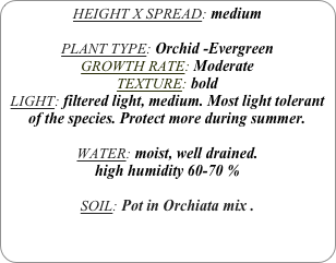 HEIGHT X SPREAD: medium

PLANT TYPE: Orchid -Evergreen
GROWTH RATE: Moderate
TEXTURE: bold
LIGHT: filtered light, medium. Most light tolerant of the species. Protect more during summer.

WATER: moist, well drained. 
high humidity 60-70 %

SOIL: Pot in Orchiata mix .

