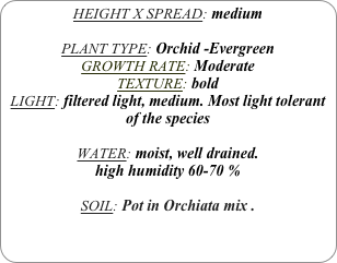 HEIGHT X SPREAD: medium

PLANT TYPE: Orchid -Evergreen
GROWTH RATE: Moderate
TEXTURE: bold
LIGHT: filtered light, medium. Most light tolerant of the species

WATER: moist, well drained. 
high humidity 60-70 %

SOIL: Pot in Orchiata mix .
