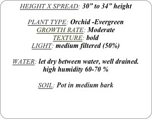 HEIGHT X SPREAD: 30” to 34” height

PLANT TYPE: Orchid -Evergreen
GROWTH RATE: Moderate
TEXTURE: bold
LIGHT: medium filtered (50%)

WATER: let dry between water, well drained. 
high humidity 60-70 %

SOIL: Pot in medium bark
