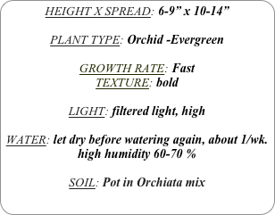HEIGHT X SPREAD: 6-9” x 10-14”

PLANT TYPE: Orchid -Evergreen

GROWTH RATE: Fast
TEXTURE: bold

LIGHT: filtered light, high

WATER: let dry before watering again, about 1/wk.
high humidity 60-70 %

SOIL: Pot in Orchiata mix 
