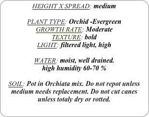 HEIGHT X SPREAD: medium

PLANT TYPE: Orchid -Evergreen
GROWTH RATE: Moderate
TEXTURE: bold
LIGHT: filtered light, high

WATER: moist, well drained. 
high humidity 60-70 %

SOIL: Pot in Orchiata mix. Do not repot unless medium needs replacement. Do not cut canes unless totaly dry or rotted.
