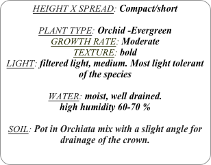HEIGHT X SPREAD: Compact/short

PLANT TYPE: Orchid -Evergreen
GROWTH RATE: Moderate
TEXTURE: bold
LIGHT: filtered light, medium. Most light tolerant of the species

WATER: moist, well drained. 
high humidity 60-70 %

SOIL: Pot in Orchiata mix with a slight angle for drainage of the crown. 
