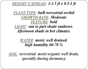 HEIGHT X SPREAD: 1-1.5 ft x 0.5-1 ft

PLANT TYPE: bulb terrestrial orchid
GROWTH RATE: Moderate
TEXTURE: bold
LIGHT: sun to part shade outdoors.
Afternoon shade in hot climates.

WATER: moist, well drained. 
high humidity 60-70 %

SOIL: terrestrial  moist organic well drain, specially during dormancy
