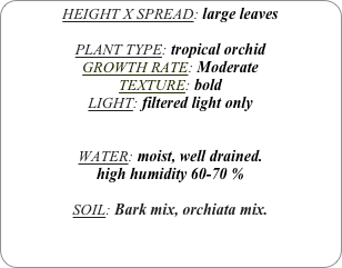 HEIGHT X SPREAD: large leaves

PLANT TYPE: tropical orchid
GROWTH RATE: Moderate
TEXTURE: bold
LIGHT: filtered light only


WATER: moist, well drained. 
high humidity 60-70 %

SOIL: Bark mix, orchiata mix.
