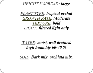 HEIGHT X SPREAD: large

PLANT TYPE: tropical orchid
GROWTH RATE: Moderate
TEXTURE: bold
LIGHT: filtered light only


WATER: moist, well drained. 
high humidity 60-70 %

SOIL: Bark mix, orchiata mix.
