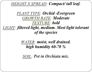 HEIGHT X SPREAD: Compact/ tall leaf.

PLANT TYPE: Orchid -Evergreen
GROWTH RATE: Moderate
TEXTURE: bold
LIGHT: filtered light, medium. Most light tolerant of the species

WATER: moist, well drained. 
high humidity 60-70 %

SOIL: Pot in Orchiata mix.
