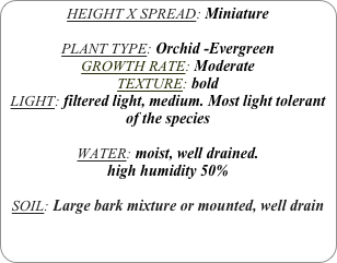 HEIGHT X SPREAD: Miniature

PLANT TYPE: Orchid -Evergreen
GROWTH RATE: Moderate
TEXTURE: bold
LIGHT: filtered light, medium. Most light tolerant of the species

WATER: moist, well drained. 
high humidity 50%

SOIL: Large bark mixture or mounted, well drain

