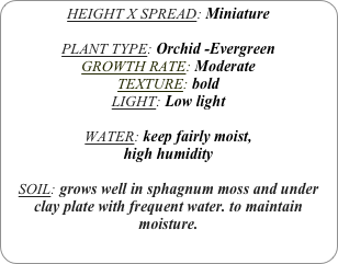 HEIGHT X SPREAD: Miniature

PLANT TYPE: Orchid -Evergreen
GROWTH RATE: Moderate
TEXTURE: bold
LIGHT: Low light

WATER: keep fairly moist,
high humidity 

SOIL: grows well in sphagnum moss and under  clay plate with frequent water. to maintain moisture.
