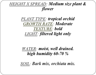 HEIGHT X SPREAD: Medium size plant & flower

PLANT TYPE: tropical orchid
GROWTH RATE: Moderate
TEXTURE: bold
LIGHT: filtered light only


WATER: moist, well drained. 
high humidity 60-70 %

SOIL: Bark mix, orchiata mix.
