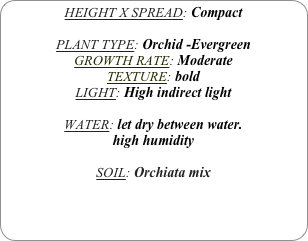 HEIGHT X SPREAD: Compact

PLANT TYPE: Orchid -Evergreen
GROWTH RATE: Moderate
TEXTURE: bold
LIGHT: High indirect light

WATER: let dry between water.
high humidity 

SOIL: Orchiata mix
