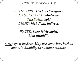 HEIGHT X SPREAD: ?

PLANT TYPE: Orchid -Evergreen
GROWTH RATE: Moderate
TEXTURE: bold
LIGHT: high light, indirect.

WATER: keep fairly moist,
high humidity 

SOIL: open baskets. May use some loos bark to mantain humidity in summer months.
