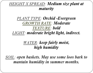 HEIGHT X SPREAD: Medium size plant at maturity

PLANT TYPE: Orchid -Evergreen
GROWTH RATE: Moderate
TEXTURE: bold
LIGHT: moderate bright light, indirect.

WATER: keep fairly moist,
high humidity 

SOIL: open baskets. May use some loos bark to mantain humidity in summer months.
