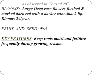 As observed in Coastal NC.
BLOOMS:  Large Deep rose flowers flushed & marked dark red with a darker wine-black lip.
Blooms 2x/year.

FRUIT  AND  SEED: N/A

KEY FEATURES: Keep roots moist and fertilize frequently during growing season.