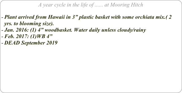A year cycle in the life of ...... at Mooring Hitch

Plant arrived from Hawaii in 3” plastic basket with some orchiata mix.( 2 yrs. to blooming size).
Jan. 2016: (1) 4” woodbasket. Water daily unless cloudy/rainy
Feb. 2017: (1)WB 4”
DEAD September 2019

