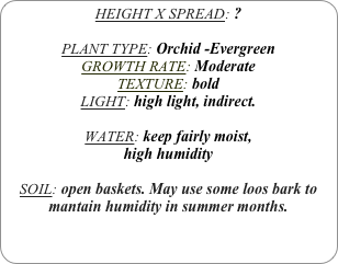 HEIGHT X SPREAD: ?

PLANT TYPE: Orchid -Evergreen
GROWTH RATE: Moderate
TEXTURE: bold
LIGHT: high light, indirect.

WATER: keep fairly moist,
high humidity 

SOIL: open baskets. May use some loos bark to mantain humidity in summer months.
