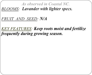 As observed in Coastal NC.
BLOOMS:  Lavander with lighter specs.

FRUIT  AND  SEED: N/A

KEY FEATURES: Keep roots moist and fertilize frequently during growing season.