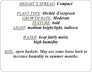 HEIGHT X SPREAD: Compact

PLANT TYPE: Orchid -Evergreen
GROWTH RATE: Moderate
TEXTURE: bold
LIGHT: medium bright light, indirect.

WATER: keep fairly moist,
high humidity 

SOIL: open baskets. May use some loose bark to increase humidity in summer months.
