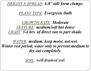 HEIGHT X SPREAD: 6-8” tall/ form clumps.

PLANT TYPE: Evergreen /bulb

GROWTH RATE: Moderate
TEXTURE: medium/soft but dense
LIGHT: 3-4 hrs. of direct sun to part shade.

WATER: medium, keep moist, not wet.
Winter rest period, water only to prevent medium to dry out completely.

SOIL: well drained soil.
