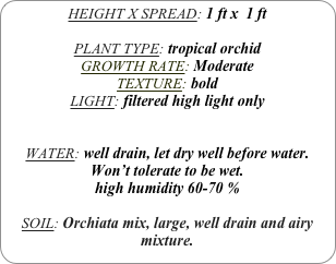 HEIGHT X SPREAD: 1 ft x  1 ft

PLANT TYPE: tropical orchid
GROWTH RATE: Moderate
TEXTURE: bold
LIGHT: filtered high light only


WATER: well drain, let dry well before water. Won’t tolerate to be wet. 
high humidity 60-70 %

SOIL: Orchiata mix, large, well drain and airy mixture.