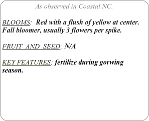 As observed in Coastal NC.

BLOOMS:  Red with a flush of yellow at center.
Fall bloomer, usually 3 flowers per spike.

FRUIT  AND  SEED: N/A

KEY FEATURES: fertilize during gorwing season.
