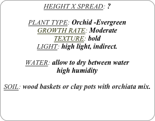 HEIGHT X SPREAD: ?

PLANT TYPE: Orchid -Evergreen
GROWTH RATE: Moderate
TEXTURE: bold
LIGHT: high light, indirect.

WATER: allow to dry between water
high humidity 

SOIL: wood baskets or clay pots with orchiata mix.
