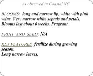 As observed in Coastal NC.

BLOOMS:  long and narrow lip, white with pink veins. Very narrow white septals and petals.
Blooms last about 6 weeks. Fragrant.

FRUIT  AND  SEED: N/A

KEY FEATURES: fertilize during growing season.
Long narrow leaves.