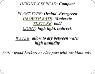 HEIGHT X SPREAD: Compact

PLANT TYPE: Orchid -Evergreen
GROWTH RATE: Moderate
TEXTURE: bold
LIGHT: high light, indirect.

WATER: allow to dry between water
high humidity 

SOIL: wood baskets or clay pots with orchiata mix.
